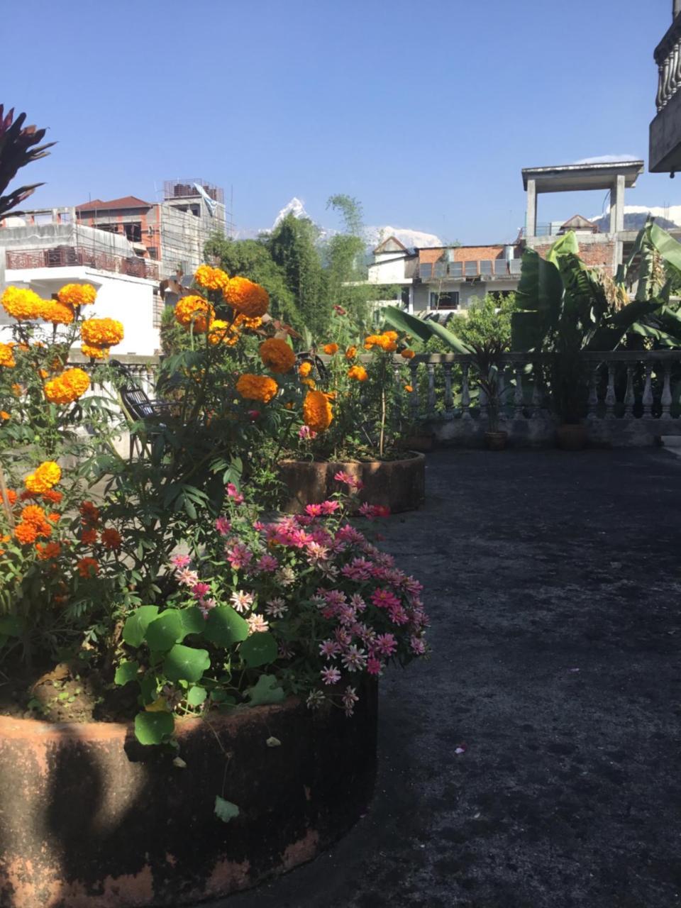 Sacred Valley Inn Pokhara Exterior foto